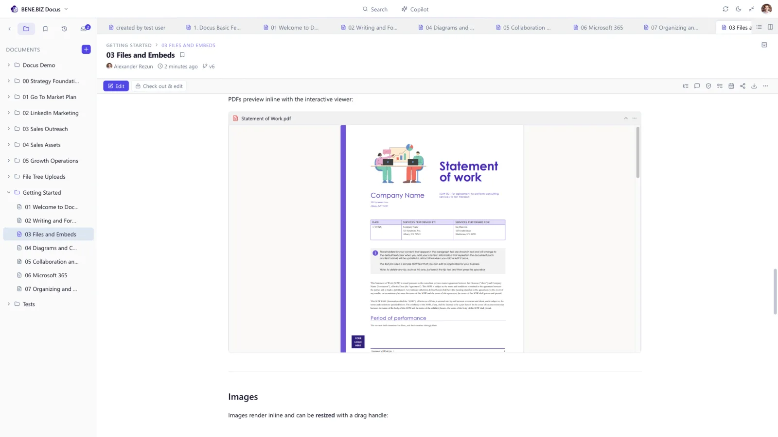 A PDF rendered inline in Docus with the interactive preview