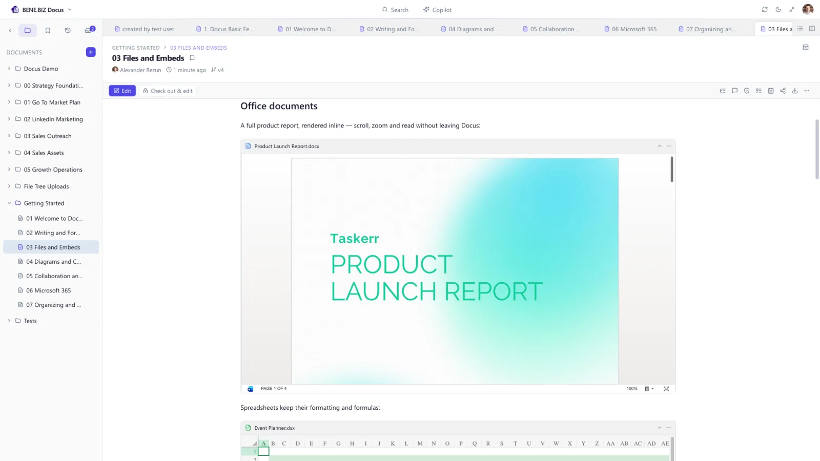 A Word document rendered inline inside a Docus page via the Office Online viewer